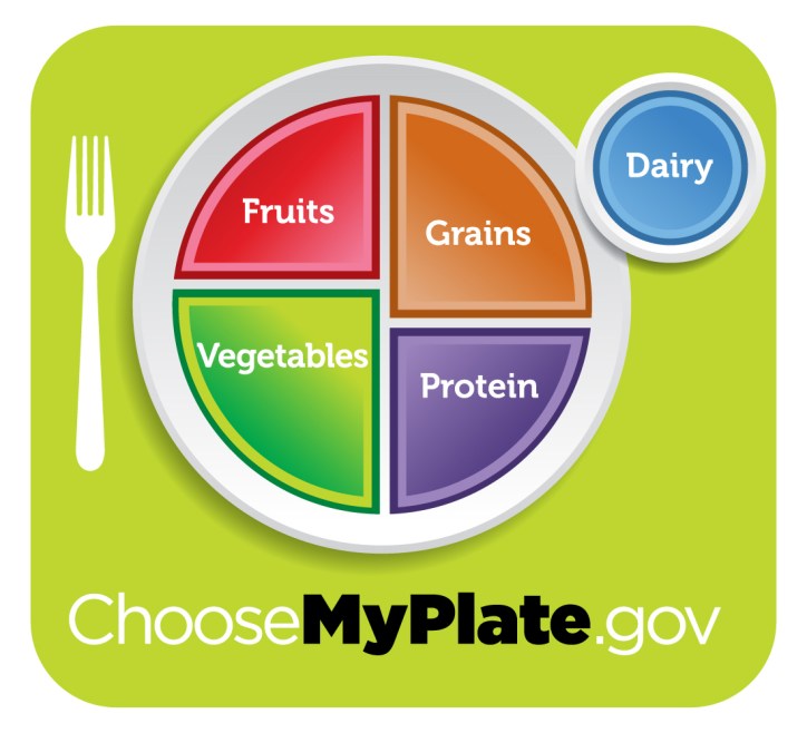 A Healthy Plate from ChooseMyPlate.gov